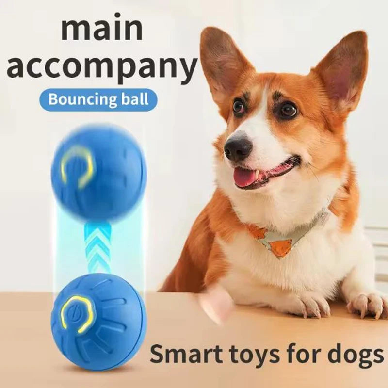 Bola Interativa Eletrônica para Cães | Brinquedo Automático