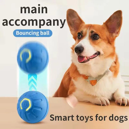 Bola Interativa Eletrônica para Cães | Brinquedo Automático