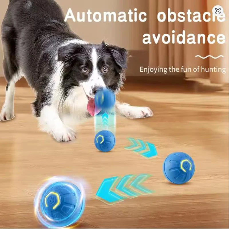 Bola Interativa Eletrônica para Cães | Brinquedo Automático